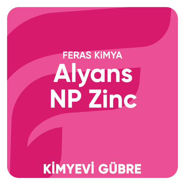 ALYANSS NP