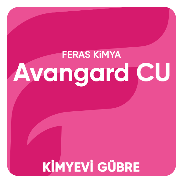 AVANGARD
