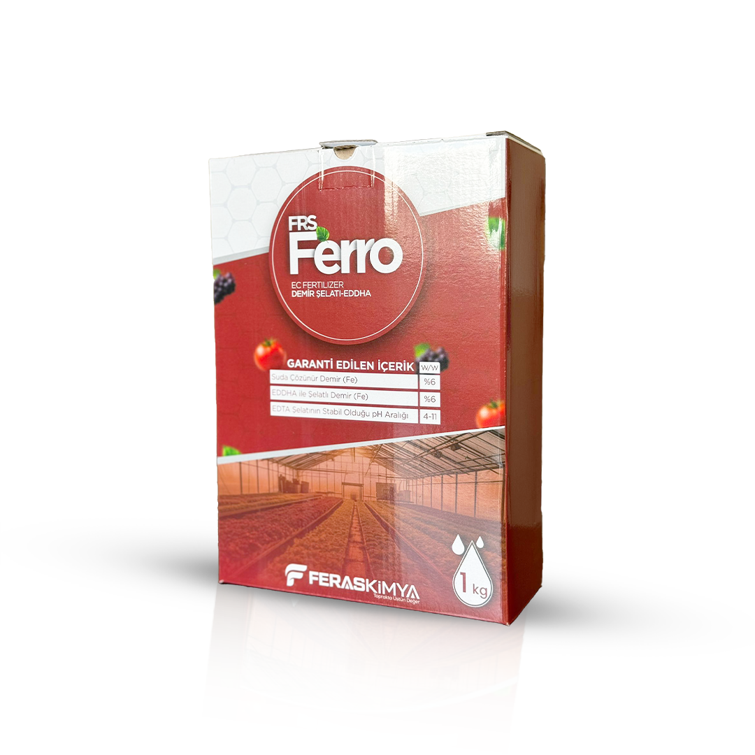 FRS Ferro